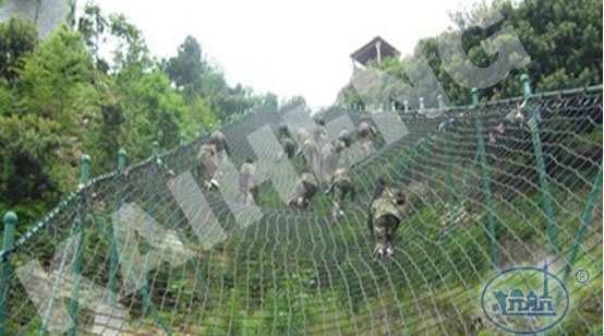 ���������W